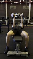 Supino reto com halter